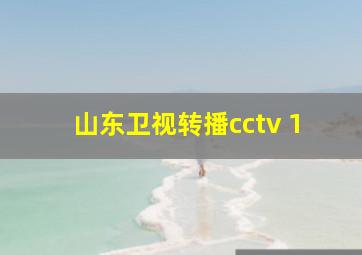 山东卫视转播cctv 1